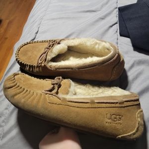 Ugg slippers